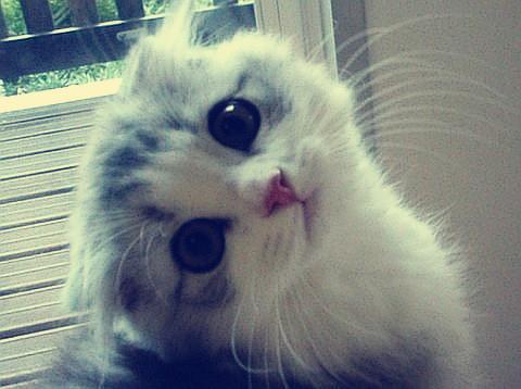 È«Á÷³Ì±Õ»·¹ÜÀí£¬ÉϺ£Ò½ÁÆ»ú¹¹³ÉÁ¢Ð¹ڿÆ